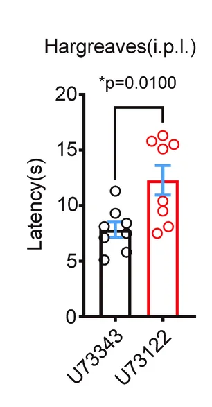 Open access visualization of Bar Plot, Error Bars, Scatter Plot, Hargreaves Test, Irradiation Intensity