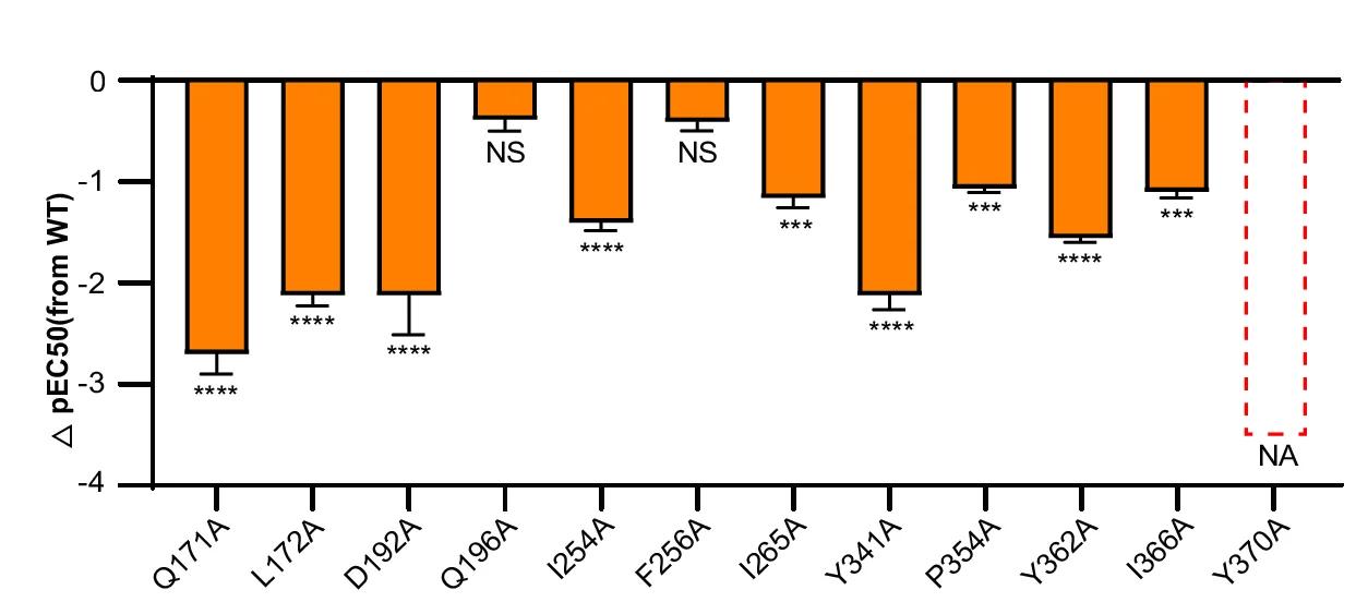 Open access visualization of Bar Plot, Error Bars, MCHR1, Binding Pocket, Mutations