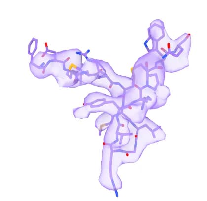 Open access visualization of Chemical Structure, MCH, MCHR1, Binding Pocket, Mesh Representation