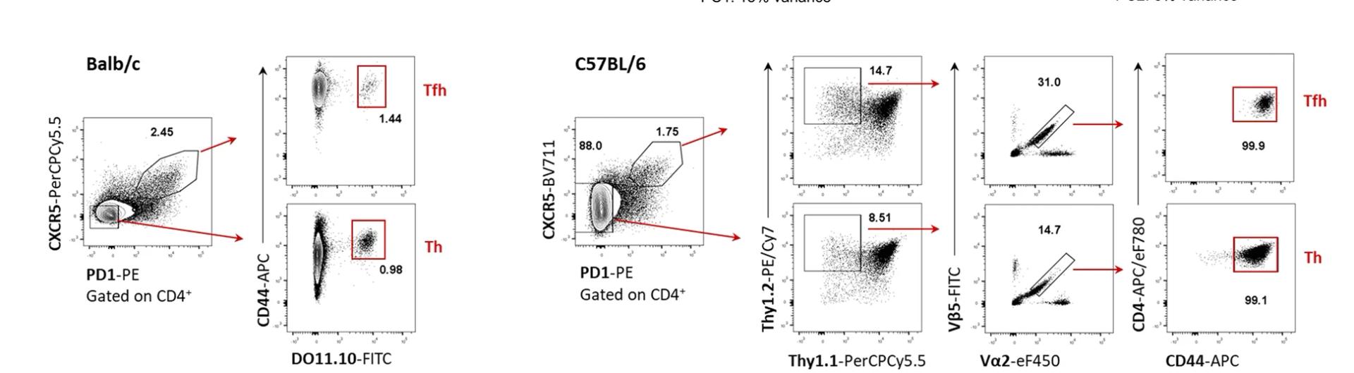 Open access visualization of Scatter Plot, Th Cells, Tfh Cells, FACS, RNA-seq