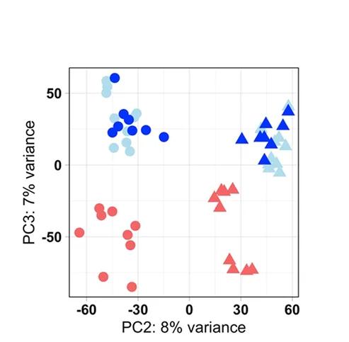 Open access visualization of Scatter Plot, PCA, Variance, Tfh Cells, T Cells