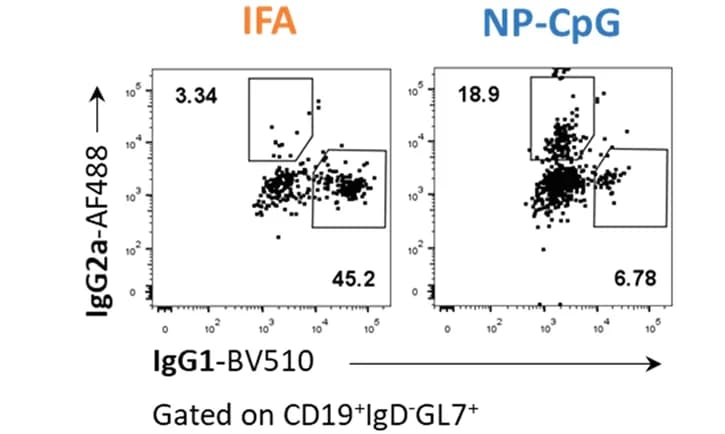 Open access visualization of Scatter Plot, Dotplots, Flow Cytometry