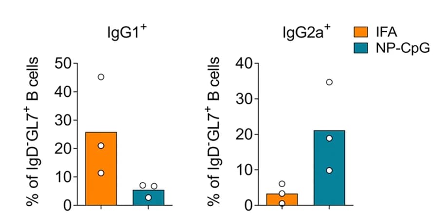 Open access visualization of Bar Plot, Scatter Plot, IgG2a, IgG1, Isotype-switched B Cells