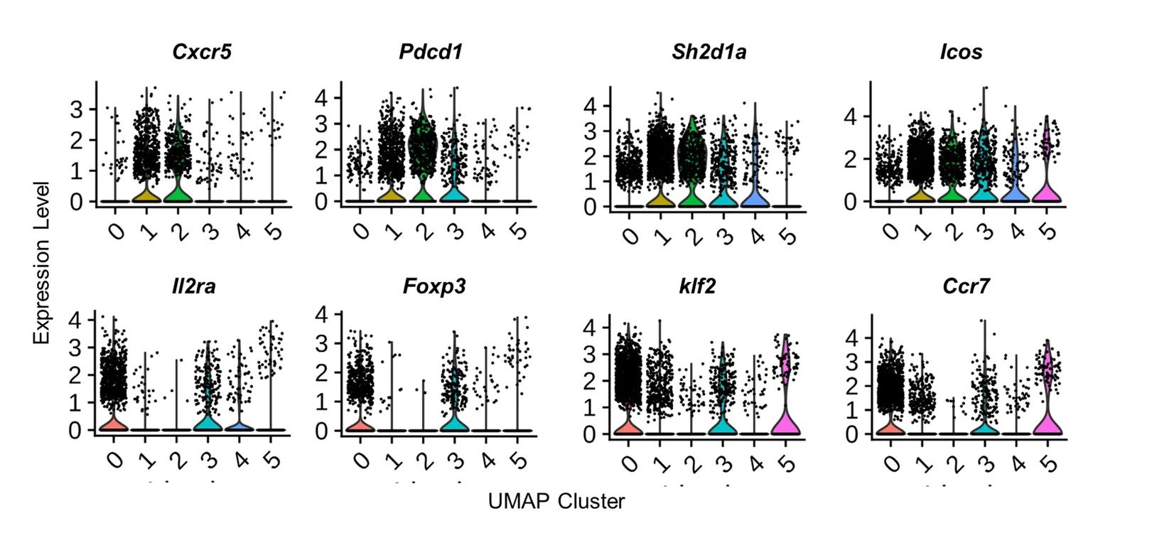 Open access visualization of Violin Plot, Scatter Plot, Violin Plots, Gene Expression, Tfh Cells