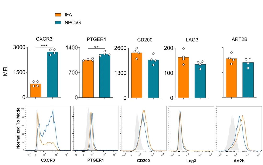 Open access visualization of Bar Plot, Scatter Plot, Line Plot, Gene Expression, Flow Cytometry