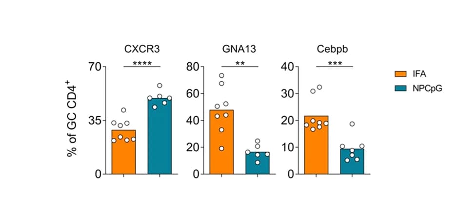 Open access visualization of Bar Plot, Scatter Plot, GC CD4 T Cells, Quantification, Image Processing