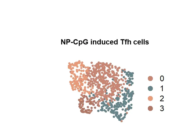 Open access visualization of Scatter Plot, UMAP, PCA, UMAP projection, Tfh Cells