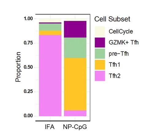 Open access visualization of Stacked Bar Plot, Tfh Cells, Cluster, Type-1 Immunization, Type-2 Immunization