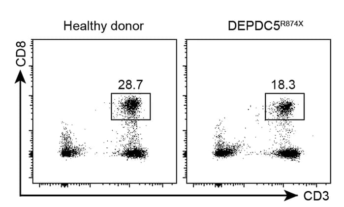Open access visualization of Scatter Plot, Flow Cytometry, Peripheral Blood Mononuclear Cells, Healthy Donors, DEPDC5 Mutations