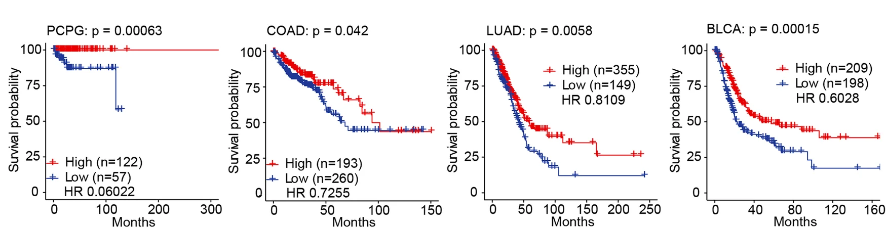 Open access visualization of Survival Curve, Kaplan-Meier Curve, Overall Survival, DEPDC5 Expression, Cancer