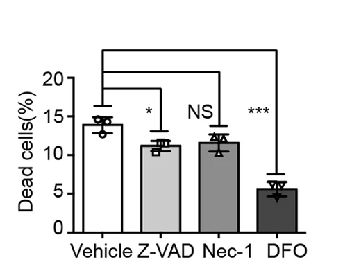 Open access visualization of Bar Plot, Error Bars, Bar Graph, Percentage of Dead CD8+ T Cells, Vehicle