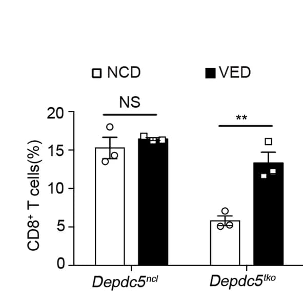 Open access visualization of Bar Plot, Error Bars, Clustered, Bar Graph, Splenic CD8+ T Cells