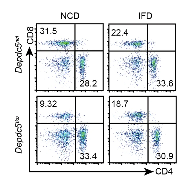 Open access visualization of Scatter Plot, Flow Cytometry, LN CD4+ T Cells, LN CD8+ T Cells, Depdc5 ncl Mice
