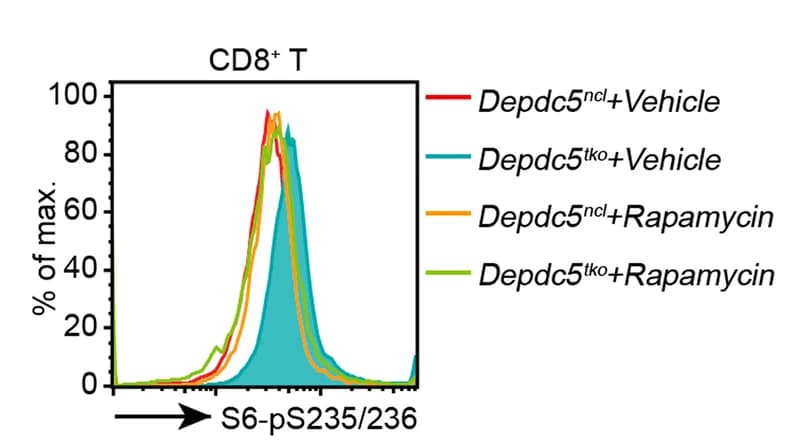 Open access visualization of Line Plot, Density Plot, Histograms, Phosphorylated S6-S235/236, Splenic CD8+ T Cells