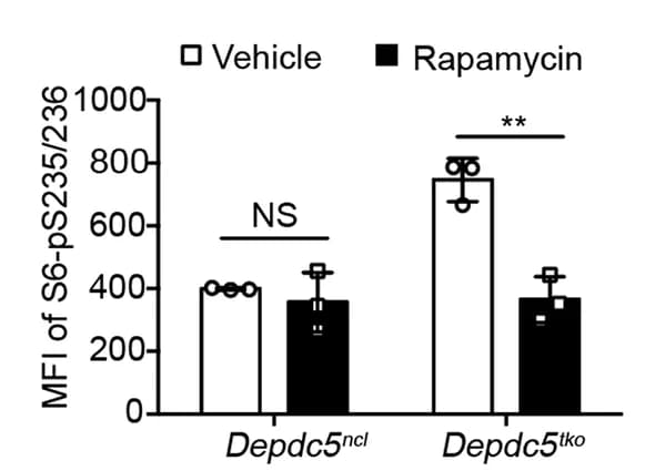 Open access visualization of Bar Plot, Error Bars, Bar Graph, MFI, Phosphorylated S6-S235/236