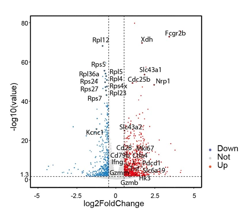 Open access visualization of Volcano Plot, Differentially Expressed Genes, RNA-seq, Depdc5 WT, Depdc5 KO