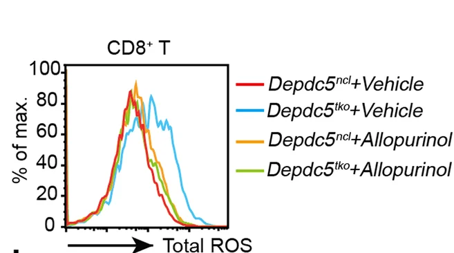 Open access visualization of Line Plot, Density Plot, Cellular ROS Levels, Depdc5 WT, Depdc5 KO