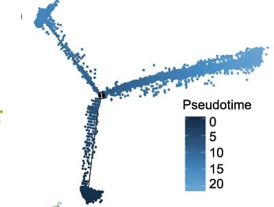 Open access visualization of Scatter Plot, Line Plot, Transcriptional Trajectory, Differential Process, Color-Coded States