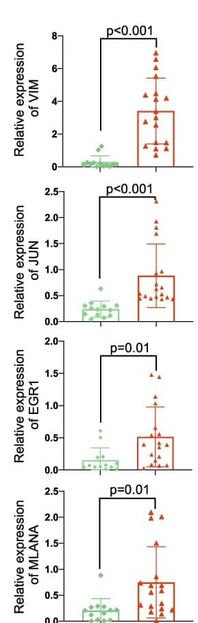 Open access visualization of Scatter Plot, Box Plot, VIM Expression, JUN Expression, MLANA Expression