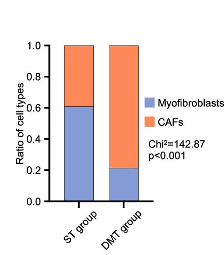 Open access visualization of Stacked Bar Plot, Bar Plots, CAFs, Myofibroblasts, ST Samples