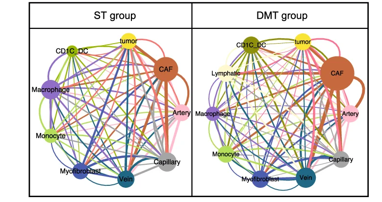 Open access visualization of Network, Pathway, Communication Networks, CAFs, Vascular Endothelial Cells
