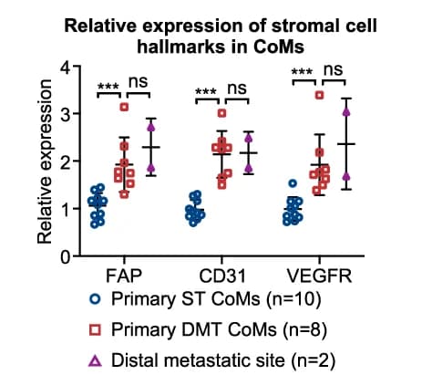 Open access visualization of Scatter Plot, Error Bars, Relative Expression, Stromal Cell Hallmarks, ST CoMs