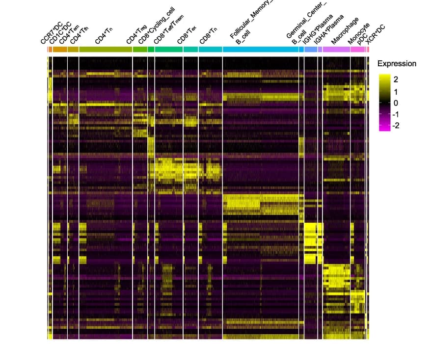 Open access visualization of Heatmap, Heatmap Plot, Marker Genes, Immune Cell Subtypes, Expression Levels