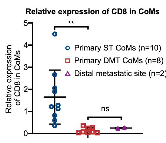 Open access visualization of Scatter Plot, Error Bars, CD8 Expression, Primary ST CoMs, Primary DMT CoMs