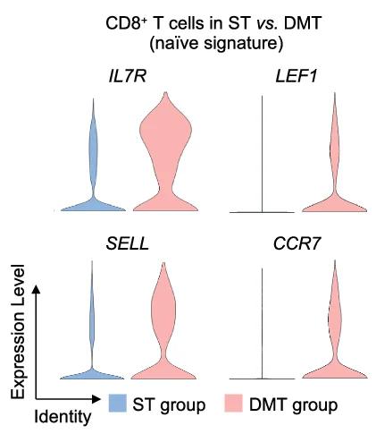 Open access visualization of Violin Plot, Naive Signature, CD8+ T Cells, ST Group, DMT Group