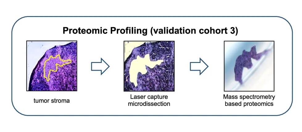 Open access visualization of Workflow, Microscopy, Photo, FFPE Tissue, Hematoxylin and Eosin Staining