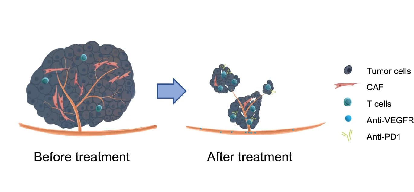 Open access visualization of Illustration, Schematic, Mechanisms, Clinical Trial