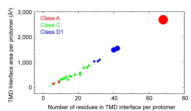 Open access visualization of Scatter Plot, Bubble Plot, Transmembrane Domain, GPCRs, Interface Area