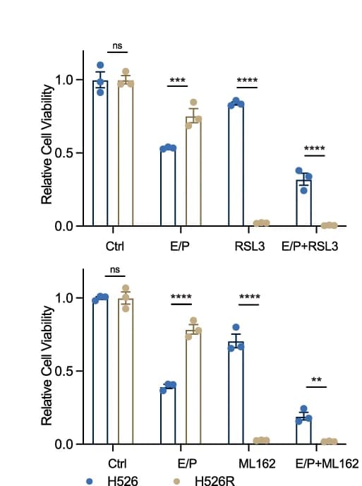 Open access visualization of Bar Plot, Error Bars, Clustered, Quantification, ZsGreen