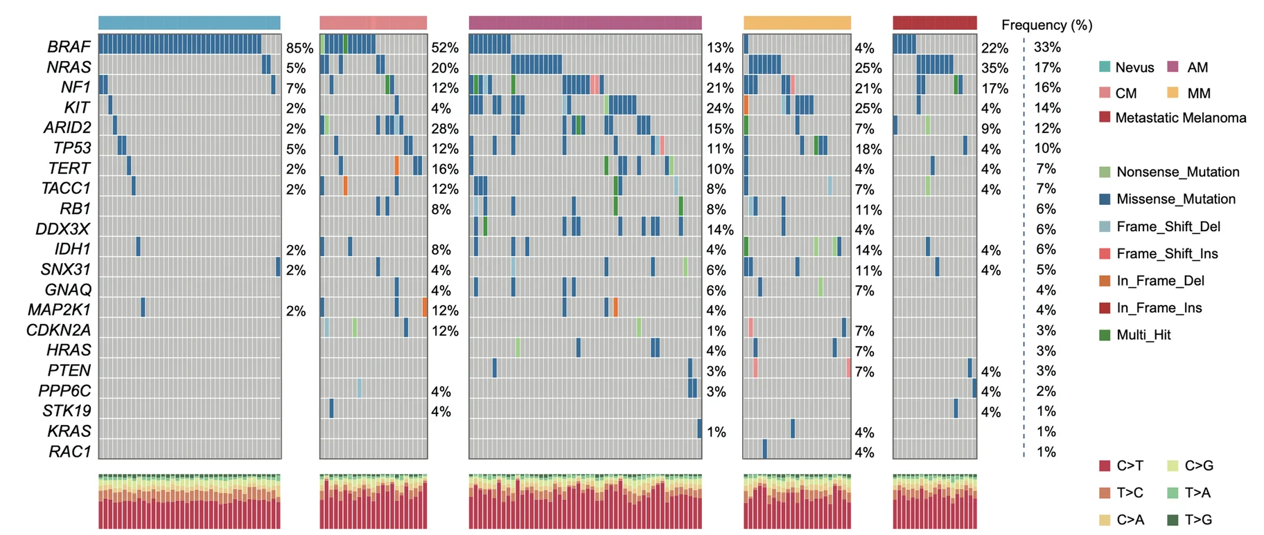 Open access visualization of Heatmap, Bar Plot, Stacked Bar Plot, Mutation Colormap, Hot Spot Mutations