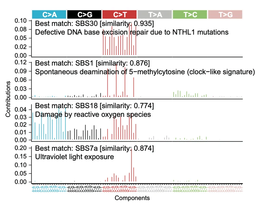 Open access visualization of Bar Plot, Mutation Frequencies, Tri-nucleotide Mutation Patterns, SBS30, SBS1