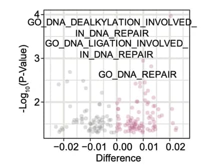 Open access visualization of Volcano Plot, Scatter Plot, Protein Pathways, SBS7a Mutation Signature