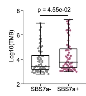 Open access visualization of Box Plot, Scatter Plot, Boxplot, Tumor Mutation Burden, SBS7a Mutation Signature