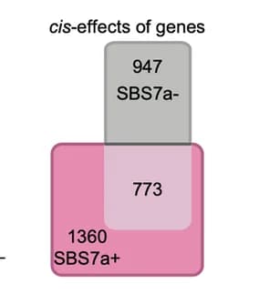 Open access visualization of Venn Diagram, CNAs, SBS7a Mutation Signature
