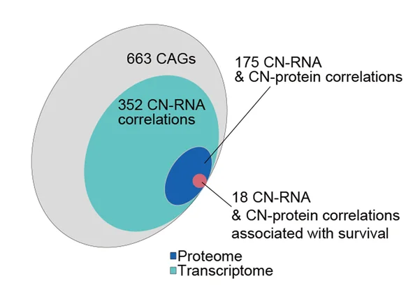 Open access visualization of Venn Diagram, CNAs, Cancer-Associated Genes, Melanomas, Transcriptome