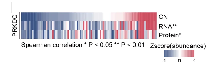 Open access visualization of Heatmap, Copy Numbers, mRNAs, Proteins, PRKDC