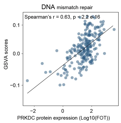 Open access visualization of Scatter Plot, Regression Plot, Spearman-Rank Correlation, PRKDC Protein Expression, GSVA Scores