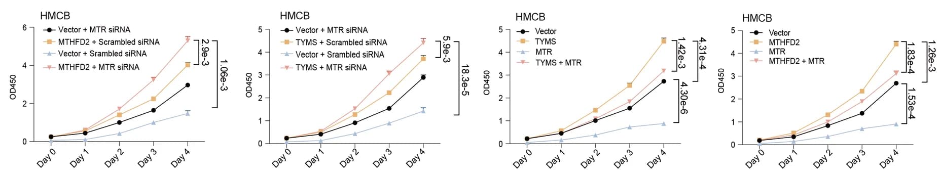 Open access visualization of Line Plot, Error Bars, Proliferation, HMCB Cells, MTR Overexpression