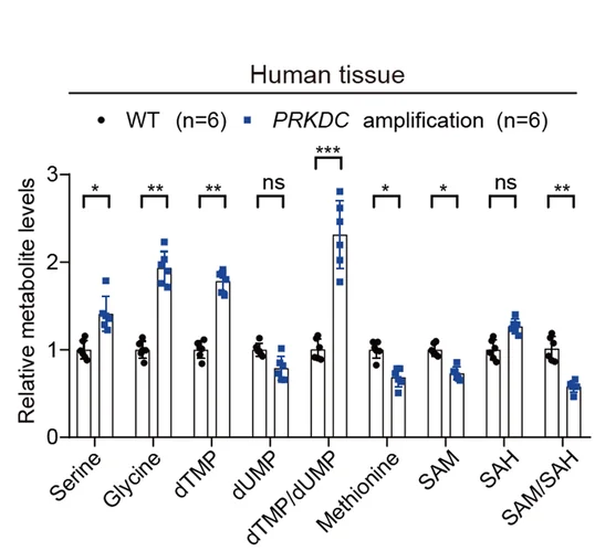 Open access visualization of Bar Plot, Error Bars, Scatter Plot, Metabolism, Melanoma Tissues