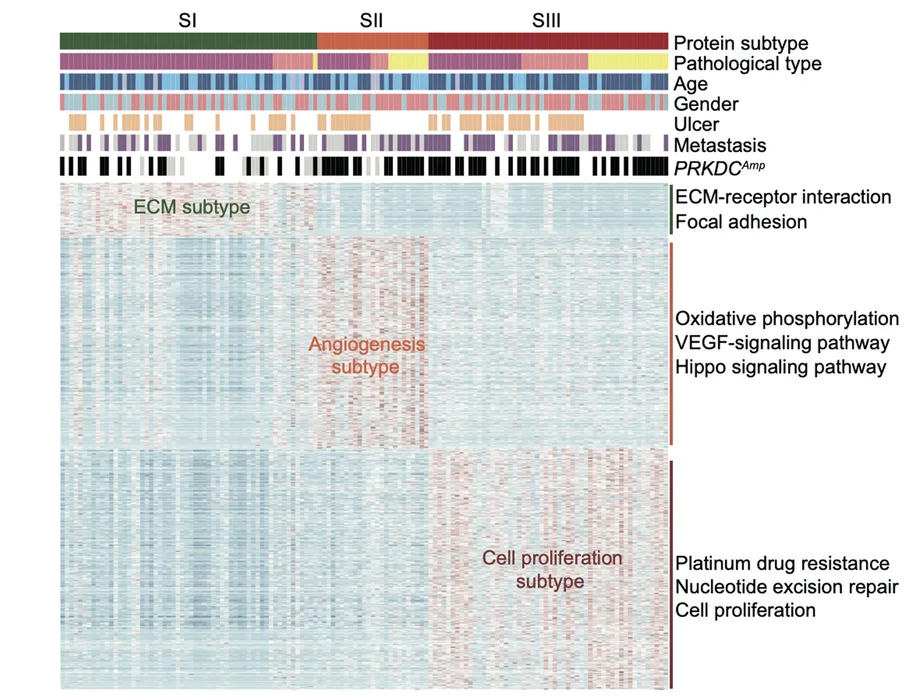 Open access visualization of Heatmap, Bar Plot, Clinical Information, PRKDC Amplicons, Melanoma Patients