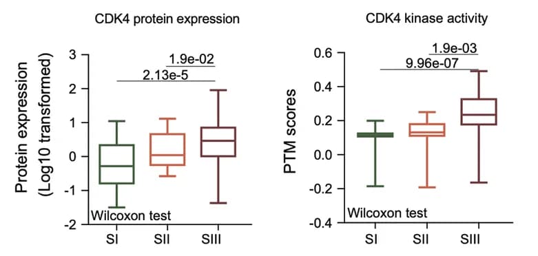 Open access visualization of Box Plot, Boxplot, Protein Expression, Kinase Activity, CDK4