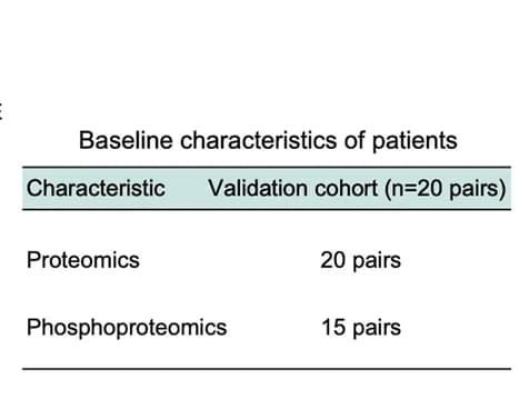 Open access visualization of Table Image, Table, Baseline Characteristics, Patients, Validation Cohort