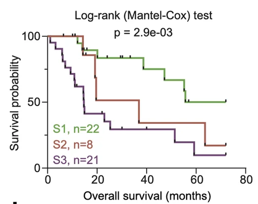 Open access visualization of Line Step, Survival Curve, Immune Groups, Clinical Outcomes, Melanoma Patients