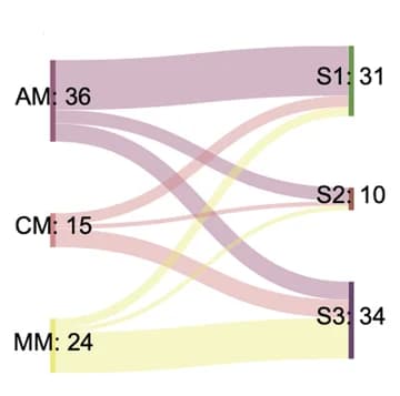 Open access visualization of Sankey, Sankey Plot, Immune Clusters, Histological Types