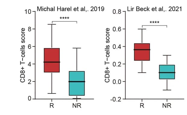 Open access visualization of Box Plot, Boxplot, xCell Score, CD8+ T-Cells, Responders