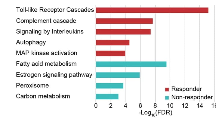 Open access visualization of Bar Plot, Histogram, Biological Pathways, Responders, Non-Responders